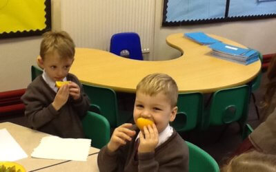 Fruit Tasting