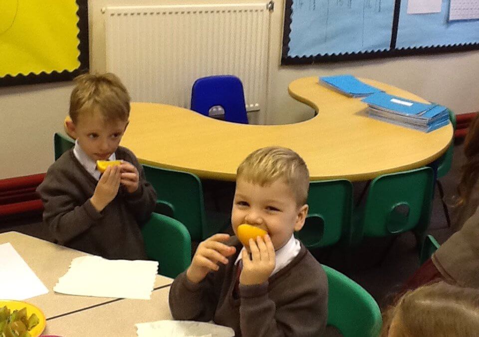 Fruit Tasting